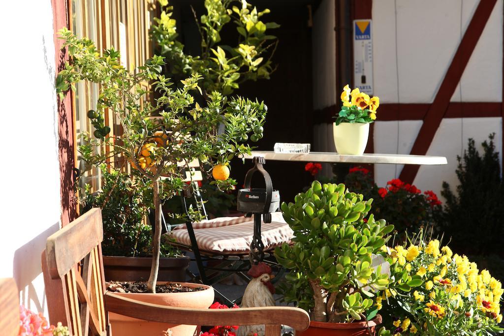 Gaestehaus Pfefferle Hotel Garni Und Ferienwohnungen Sigmaringen Buitenkant foto